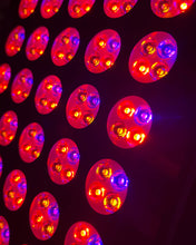 Load image into Gallery viewer, Megami™ Luminous Renewal Bright Therapy Device